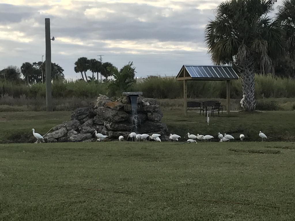 Days Inn & Suites By Wyndham Lake Okeechobee Εξωτερικό φωτογραφία